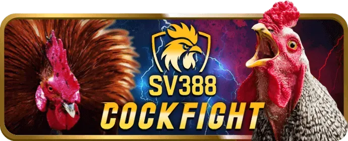 Chương trình VIP 5tt88 với các cấp độ